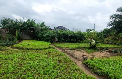 Plot of Land For Sale | Rumuagholu - Obirikwerre, Port Harcourt